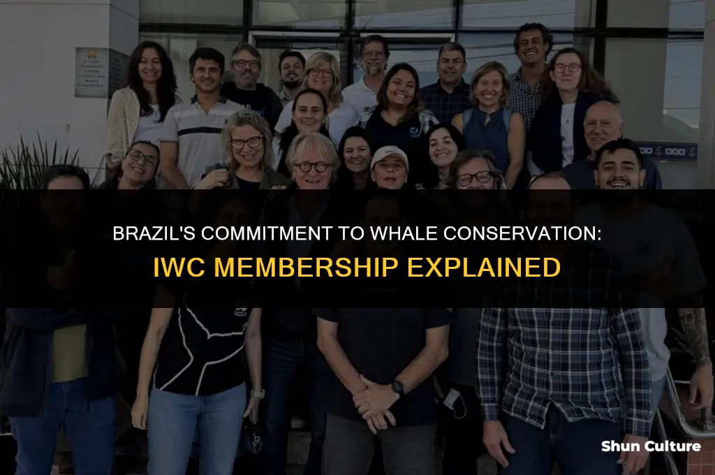is brazil a member of the iwc
