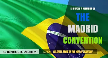 Exploring Brazil's Relationship with the Madrid Convention: A Comprehensive Overview