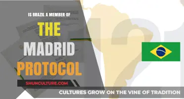 Brazil's Stand on the Madrid Protocol: A Comprehensive Overview