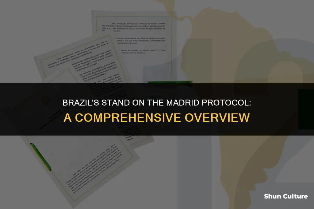 is brazil a member of the madrid protocol