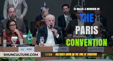 Brazil's Commitment to Climate Action: A Look at the Paris Convention