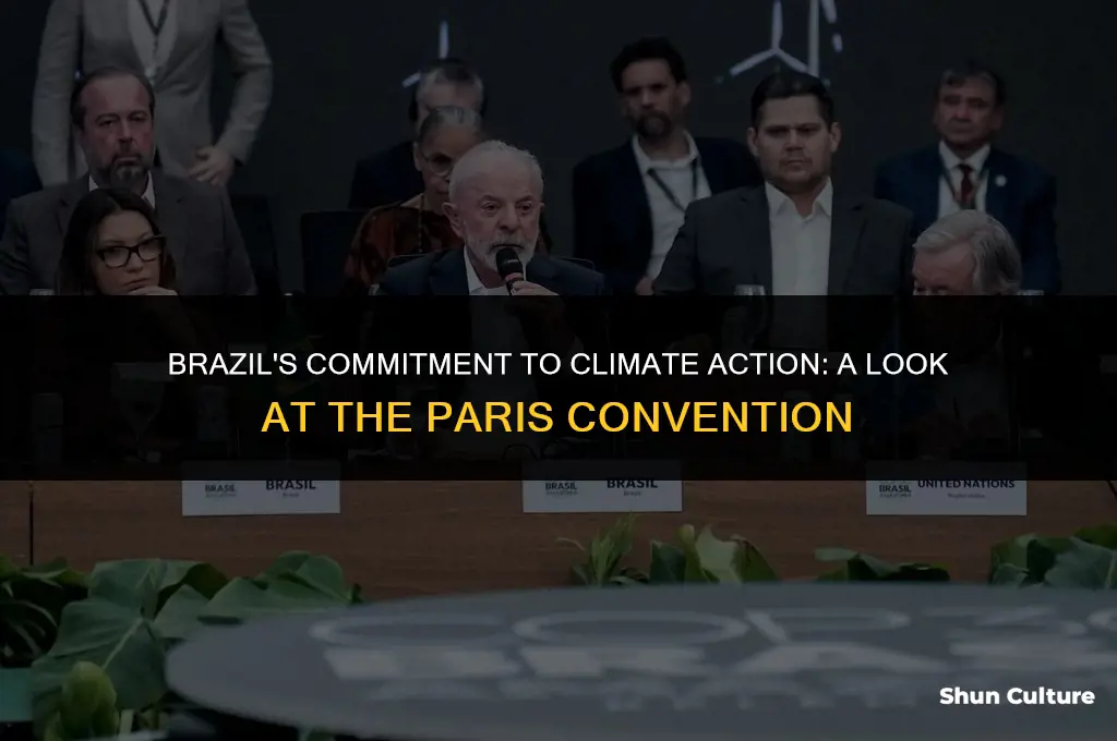 is brazil a member of the paris convention