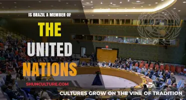 Brazil's Role in the United Nations: A Comprehensive Overview