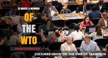 Brazil's Role in the Global Trade Arena: A WTO Perspective