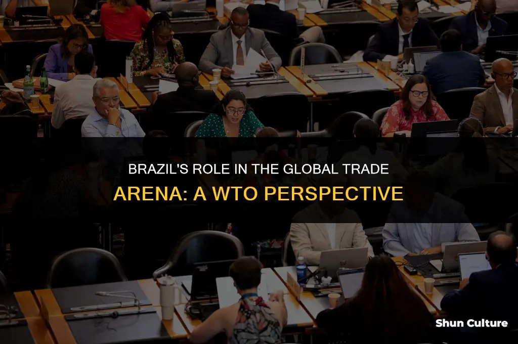 is brazil a member of the wto