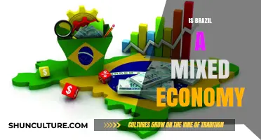 Is Brazil a Mixed Economy? Exploring Its Unique Economic Model