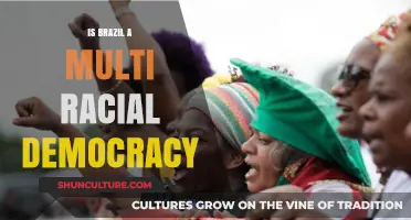Diversity in Democracy: Exploring Brazil's Multiracial Fabric