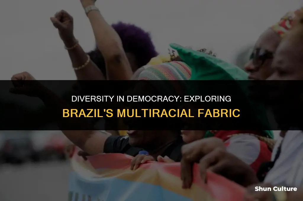 is brazil a multi racial democracy