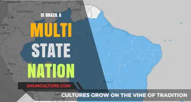 Exploring Brazil's Federal Structure: A Multi-State Nation?