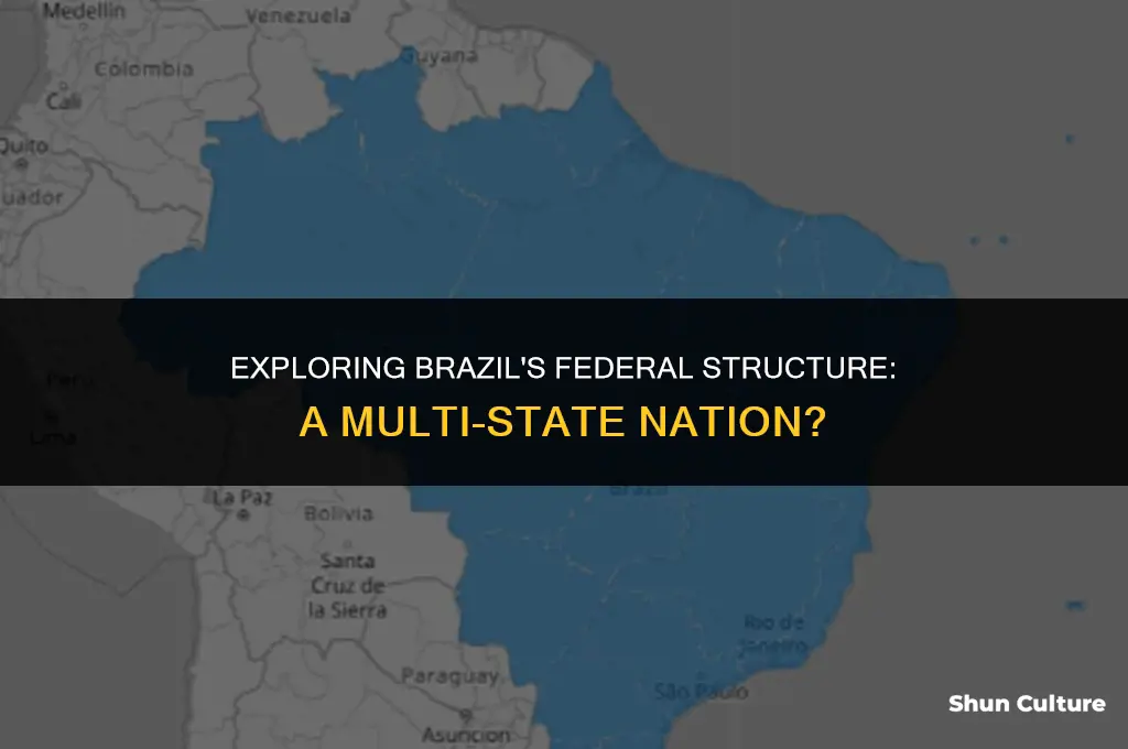 is brazil a multi state nation