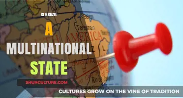 Exploring Brazil's Multinational Identity: A Complex Reality