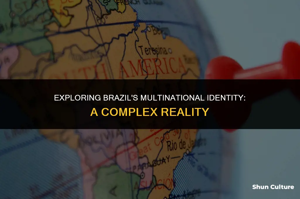 is brazil a multinational state