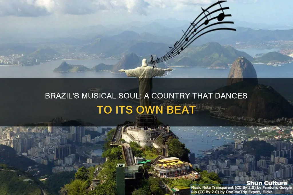 is brazil a musical like of country
