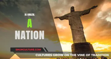 Exploring Brazil's National Identity: A Complex Journey