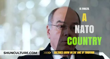 Is Brazil a NATO Country? Exploring Membership and Global Alliances