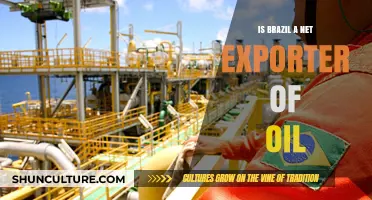 Brazil's Oil Trade: From Importer to Exporter?