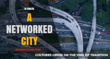 Exploring Brazil's Urban Connectivity: A Networked City Analysis