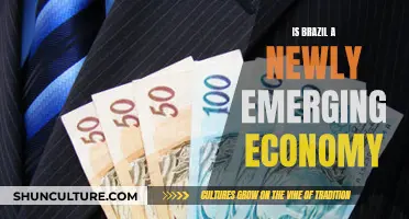 Brazil's Economic Evolution: From Developing to Newly Emerging