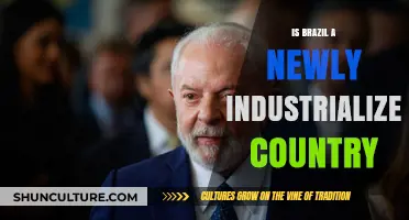 Is Brazil a Newly Industrialized Country? Exploring Its Economic Evolution
