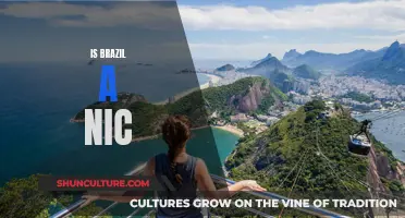 Exploring Brazil's Unique Charm: A Traveler's Perspective