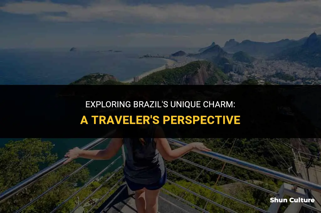 is brazil a nic