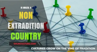 Brazil's Extradition Policies: A Safe Haven or Legal Loophole?