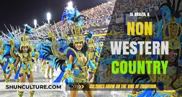 Is Brazil Non-Western? Exploring Cultural Identity and Global Positioning