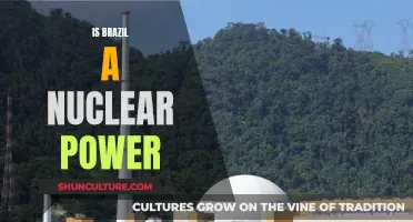 Exploring Brazil's Nuclear Capabilities: A Comprehensive Analysis