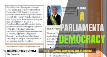 Exploring Brazil's Political Landscape: Is It a Parliamentary Democracy?