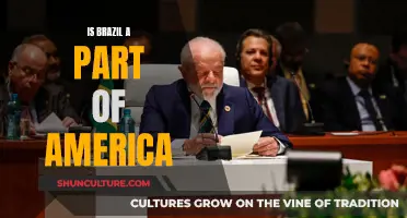 Exploring Brazil's Cultural and Geographical Ties to America