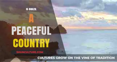 Exploring Brazil's Peacefulness: Safety, Culture, and Societal Harmony Revealed