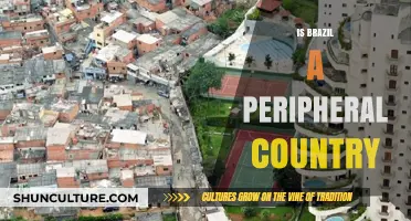 Is Brazil a Peripheral Country? Exploring Its Global Economic Role