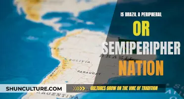 Brazil's Global Position: Peripheral or Semiperipheral?