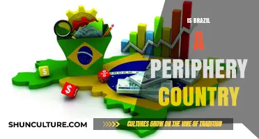 Is Brazil a Periphery Country? Exploring Its Global Economic Role
