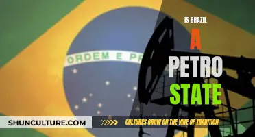Exploring Brazil's Petro State Status: A Comprehensive Analysis
