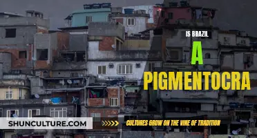 Exploring the Complexities of Race and Power in Brazil: A Pigmentocracy?
