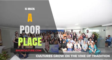 Exploring Brazil's Economic Landscape: Beyond the Stereotypes