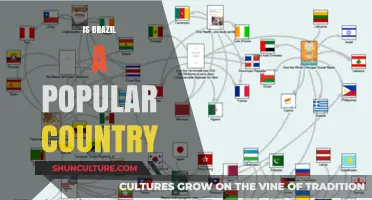 Exploring Brazil's Global Appeal: Is It a Popular Country?