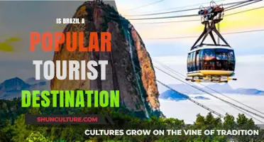 Exploring Brazil's Allure: A Journey Through Its Vibrant Tourism Scene