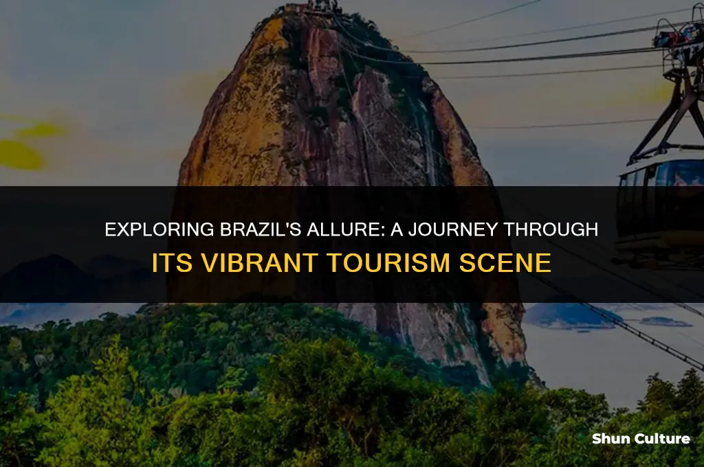 is brazil a popular tourist destination
