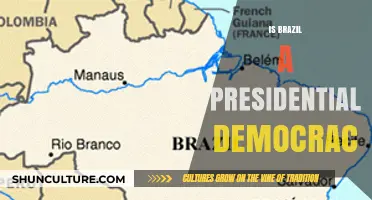 Exploring Brazil's Political Landscape: Is It a Presidential Democracy?