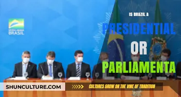 Exploring Brazil's Government: Presidential or Parliamentary?