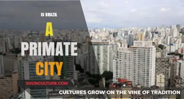 Exploring Brazil's Urban Hierarchy: Is It a Primate City?