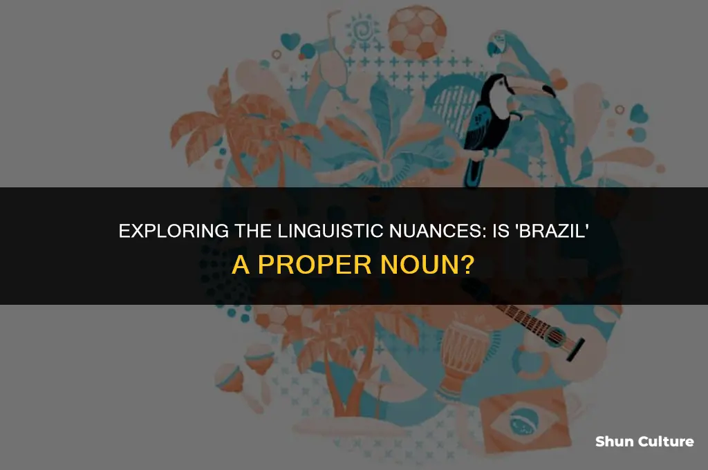 is brazil a proper noun