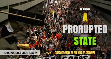 Examining Brazil's Political Turmoil: A Prorupted State?