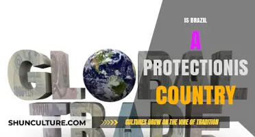 Brazil's Trade Policies: Protectionist or Open Market Economy?