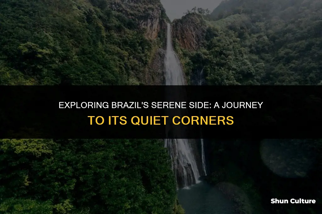 is brazil a quiet lace