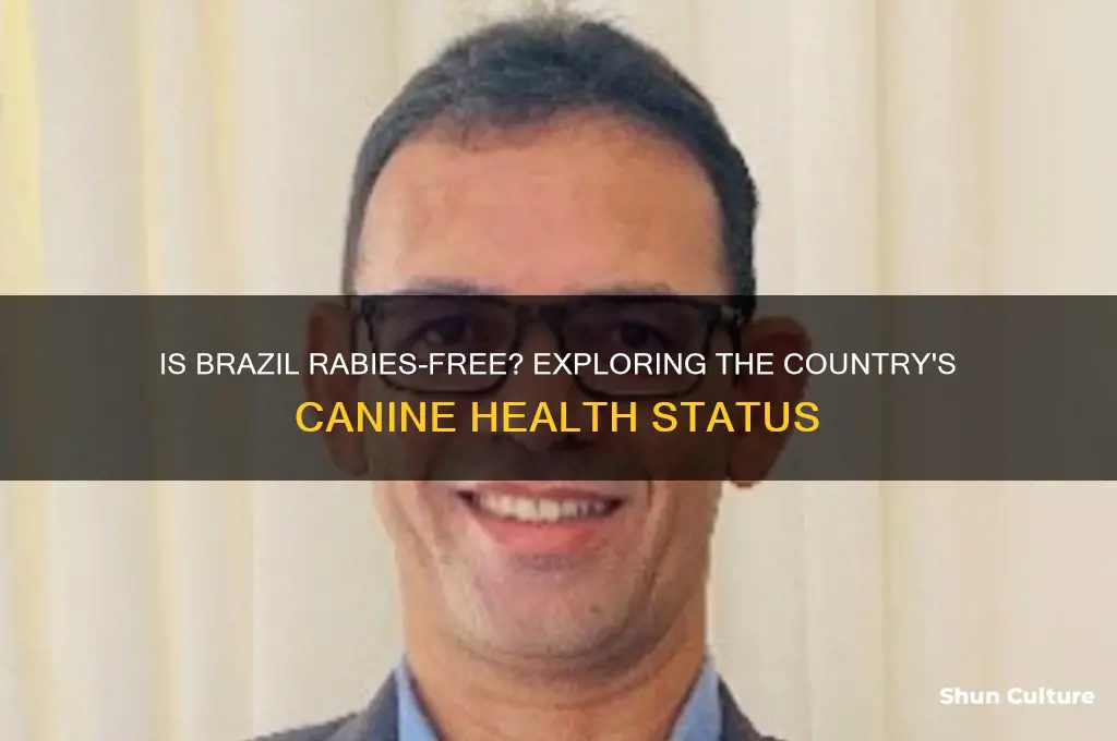 is brazil a rabies free country