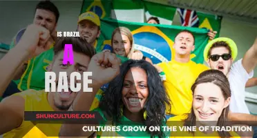 Exploring the Complexities of Race in Brazil: A Multifaceted Perspective