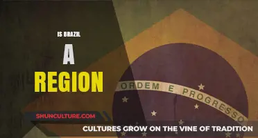 Exploring Brazil's Geographic Identity: Region or Country?
